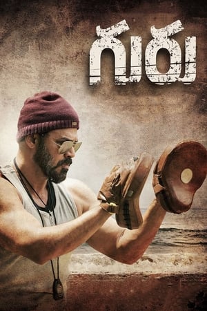 Guru (2017) Hindi Dual Audio 720p UnCut HDRip [1.1GB]