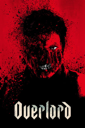 Overlord (2018) Hindi Dual Audio 480p BluRay 380MB