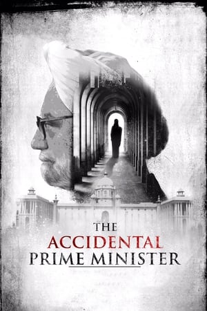 The Accidental Prime Minister (2019) Hindi Movie 720p HDRip x264 [1GB] Movie Poster